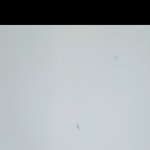 ㅅㅣㅣㅣ발 <b>전등</b>안에 좀벌레있어ㅠㅠ