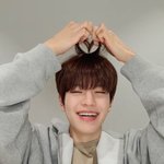 [스키즈] 세로 브이앱 <b>죠타</b>