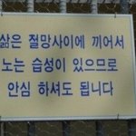 [댓글부탁해] 너네 <b>심상</b>치 않은 코딱지라고 앎?