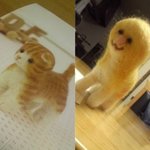 혹시 내일 상명대 <b>실기</b>치는 사람 있냐