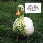 [19] 남자애들 <b>카</b><b>광</b> 알아?