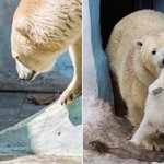 인스타그램펌) 요즘 알바생들 특징 총정리.<b>txt</b>