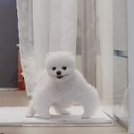 [드루와] 내 <b>전</b> 수학<b>학원</b>쌤 왜그러는지 모르겠음