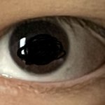 나 ㄹㅇ 삼백<b>안</b> 중 삼백<b>안</b>임