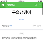 [드루와] 완전 귀여운 꽃 발견함