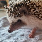 [TXT] 사진 화질이 <b>심상</b>치 않은데