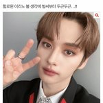 [스키즈] 이 글 쓴 테인데