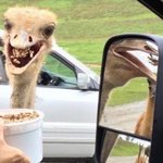 커<b>뮤</b>에서 싸우면 안되겠다