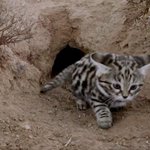 나 ㅈㄴ <b>통뼈</b>임