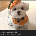 [NCT칠프] 젱우 오늘 딱