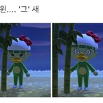 [더보이즈] 헬퍼가 뭐하는 거냐면