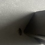 [혐주의] 시 발 집에 바퀴벌레 엄더샐엄어떡해