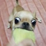 [모두드루와] 씹즈니들 <b>지들</b>끼리 또 싸움
