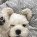 후드티 머ㅜ 살지 추천 좀용~~~<b>plz</b>