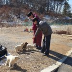 [세븐틴] 얘들아..!!!! 타팬인데ㅜㅜㅜㅜ