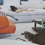 [방탄소년단] 이거 보면 잠이 잘 올 것 같아