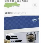 요즘은 웃긴짤 <b>털기</b> 안하냠