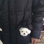 [댓글부탁해] 나 어제 혼<b>코노</b> 했는데