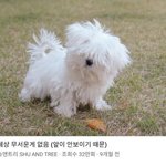 [댓글부탁해] 162 54 살 뺄까