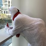 [NCT칠프] 엉덩이 박박웃<b>김</b>