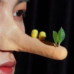 [NCT드림] ㅈ성이 <b>여깃</b>넼ㅋㅋ