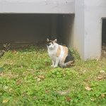 [댓글부탁해] 지금 야구 보는 사람 잇어?