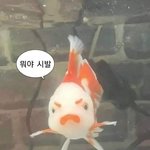 [댓글부탁해] mbti 붐 엄제쯤 사그라드냐?