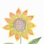 [댓글부탁해] 하마 콧구멍 니 얼굴