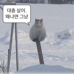 [댓글부탁해] 이 <b>사진</b>으로 프사하는 20대여자 <b>뭔</b>생각듦