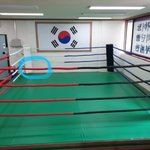 [댓글부탁해] 얘들아 이 줄 이름이 뭐야?????