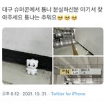[NCT칠프] 이<b>와중</b>에 존누웃
