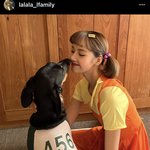 [모두드루와] <b>소박</b>한 와이지 할로윈,,