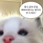 [19] 나 진짜 이거 궁금한 건데