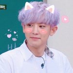 근데 <b>박찬열</b> 씨 얼굴이 너무 잘생겼어요