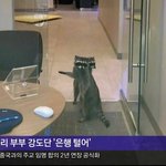 [댓글부탁해] 너희는 친구가 말없이 같이 찍은사진