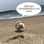 <b>공시</b>는 과목 뭐뭐있어?