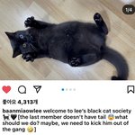 [<b>WayV</b>] 아니 쩐니들아 텐 여동생 고양이 인스타 텐 언급 !...