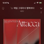 [세븐틴] 헐 다음 예측<b>순위</b>