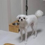 1타<b>강사</b> 맹신론자인 애들