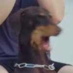 [군대] <b>시즌</b>그리팅 보고