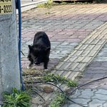 [드루와] 고3 <b>무단</b> ㄱㅊ?