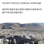 [19] 니네 <b>너티</b>퍼티 동굴 사망 사건 암?