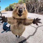 10월 소통 올출한 아이돌