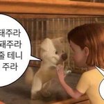 [더보이즈] 손영재 하면 생각나는 단어