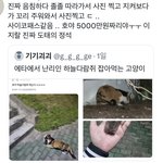 [이것좀봐줘] 이게 <b>음침</b>한거임??????