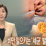 [이것좀봐줘] 비만<b>세균</b>은 있다? 없다?