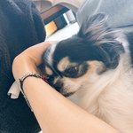 [스키즈] 까미야아......
