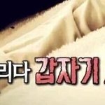너네는 사주 믿어..??