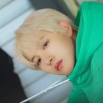 [NCT드림] 아기<b>치즈</b>냥