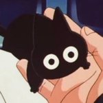 [드루와] 얘들아 혹시 <b>러디</b>칙스 후드티 사본사람..?